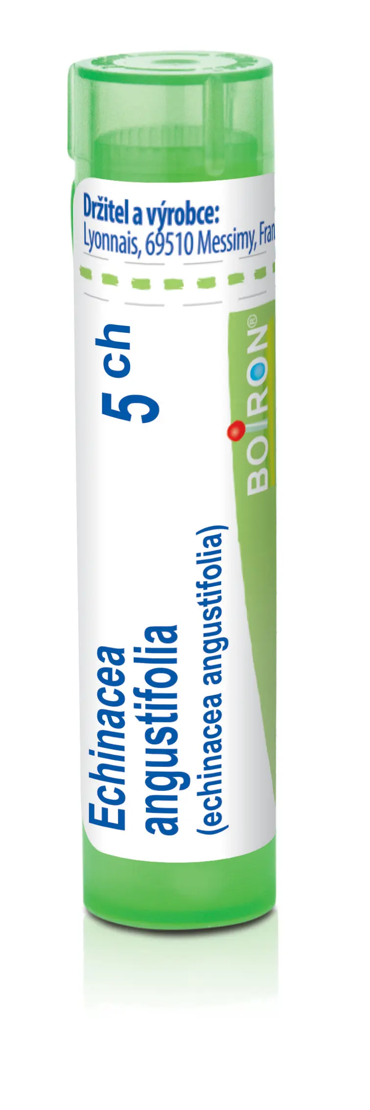 4145_ECHINACEA ANGUSTIFOLIA 5